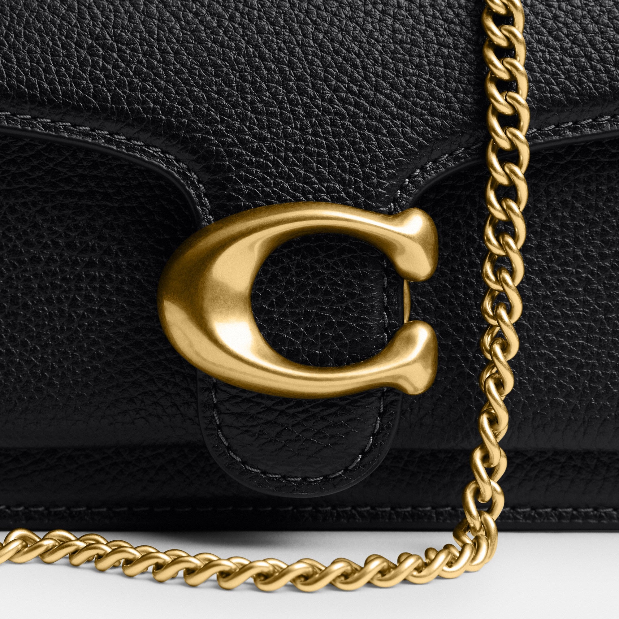 Tabby Chain Crossbody Bag 19