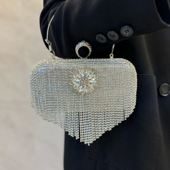 Silvery Crystal Encrusted Framed Evening Pouch with Cascading Shimmer Strands and Dual Carry Metal Fixtures